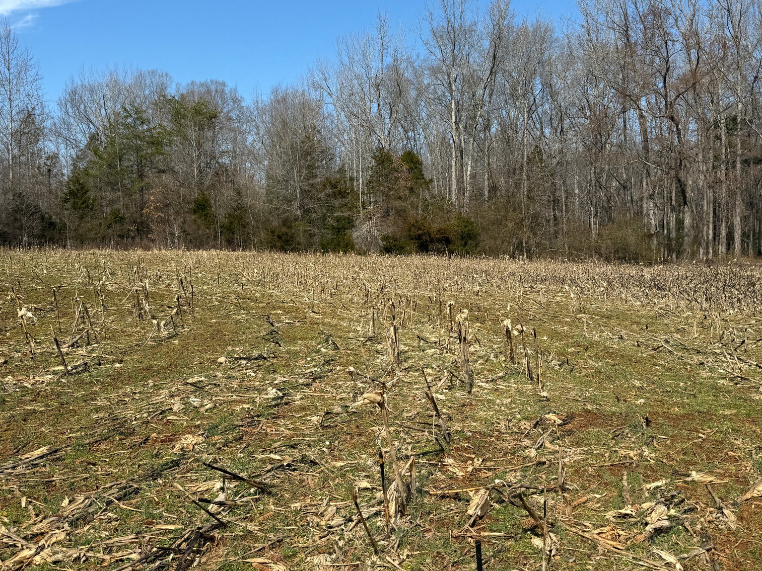 Image for 50 +/- Acre Estate Building Lot in Spotsylvania County, VA-- SELLING to the HIGHEST BIDDER via ONLINE ONLY BIDDING!!