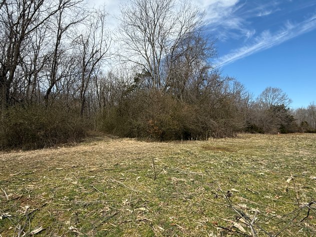 Image for 15.12 +/- Acre Estate Building Lot in Spotsylvania County, VA-- SELLING to the HIGHEST BIDDER via ONLINE ONLY BIDDING!!