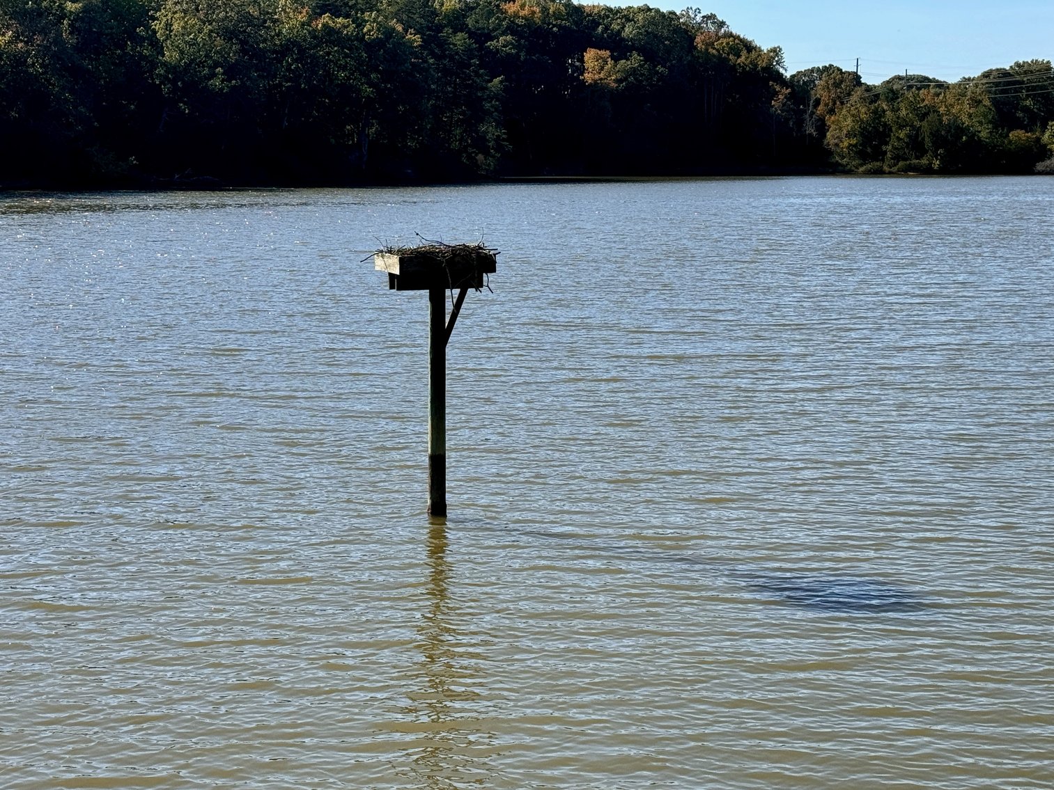 Image for 4 BR/2 BA Riverfront Home on 1.9 +/- Acres w/Upgraded Dock & Bulkhead Only Minutes From NSWC Dahlgren--King George County, VA