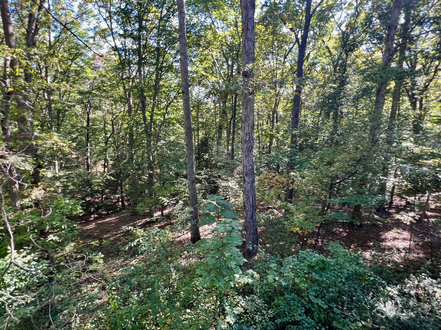 Image for 4 BR/3 BA Home w/Walk-Out Basement on 8.7 +/- Acres in North Stafford County, VA