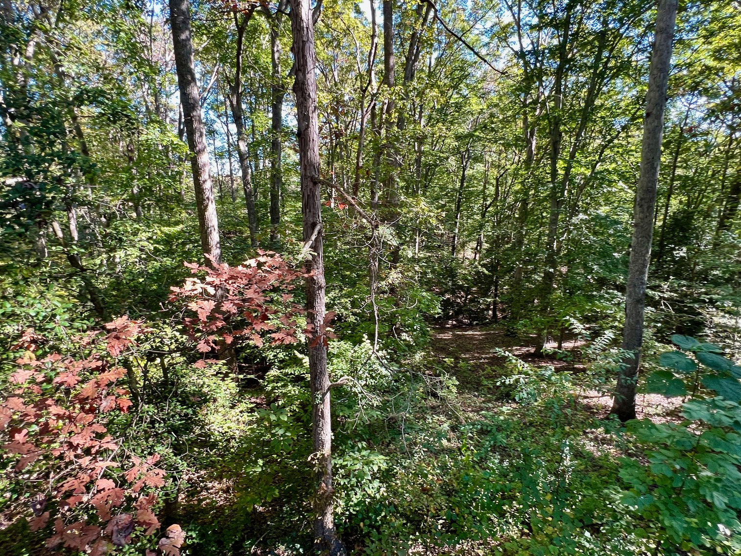 Image for 4 BR/3 BA Home w/Walk-Out Basement on 8.7 +/- Acres in North Stafford County, VA