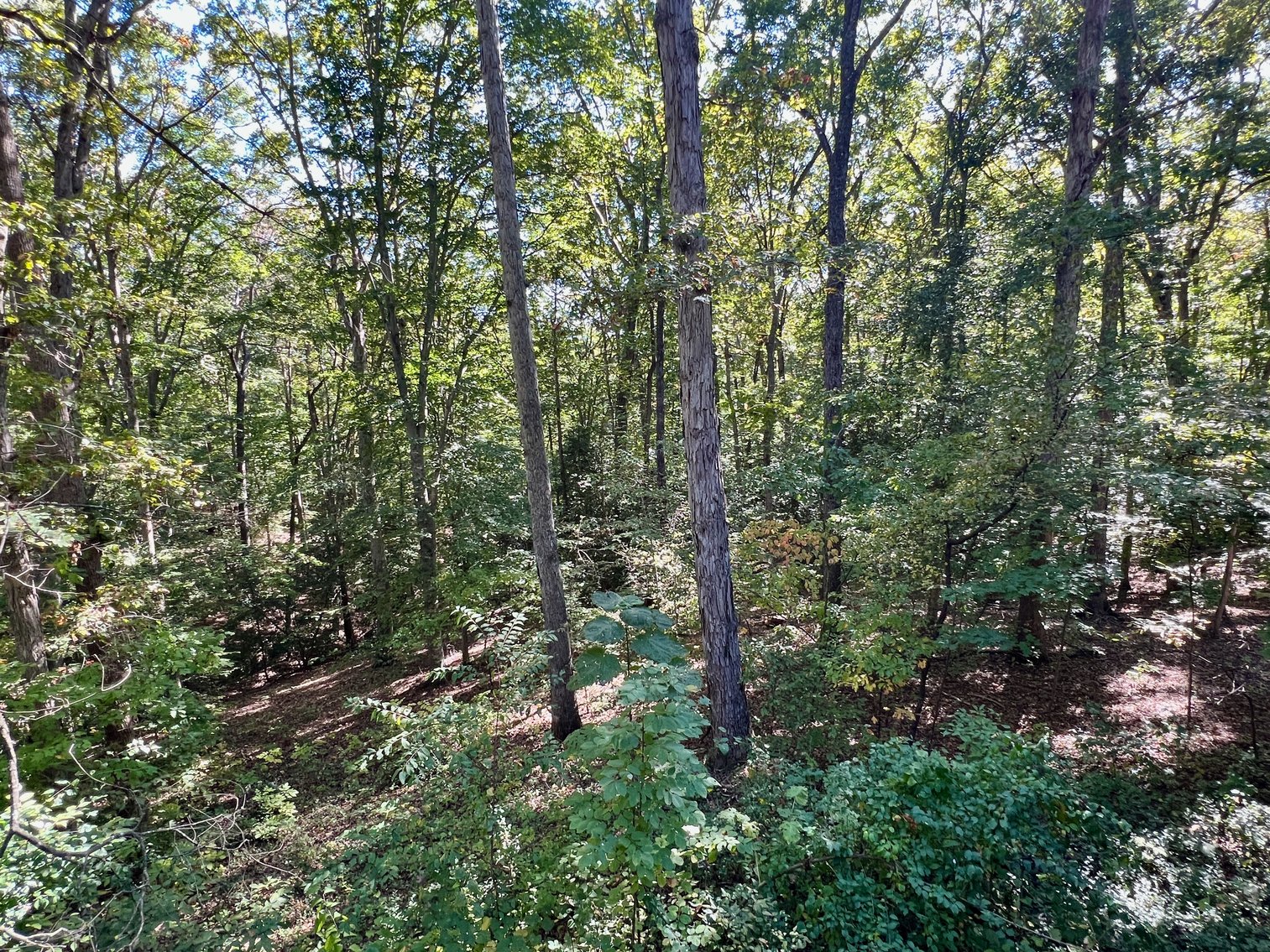 Image for 4 BR/3 BA Home w/Walk-Out Basement on 8.7 +/- Acres in North Stafford County, VA