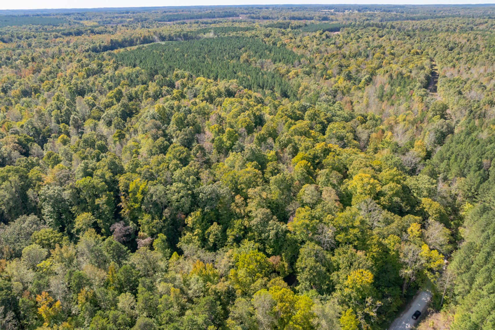 Image for 102 +/- Acre Timber Tract w/Large Amount of Frontage on 2 Roads--Lunenburg County, VA