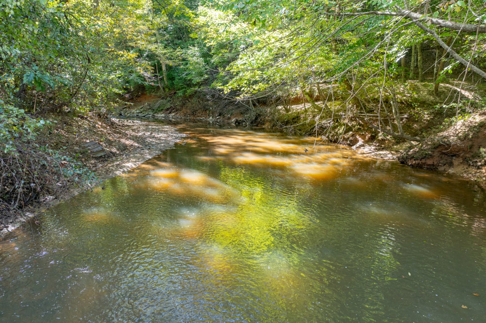 Image for 102 +/- Acre Timber Tract w/Large Amount of Frontage on 2 Roads--Lunenburg County, VA