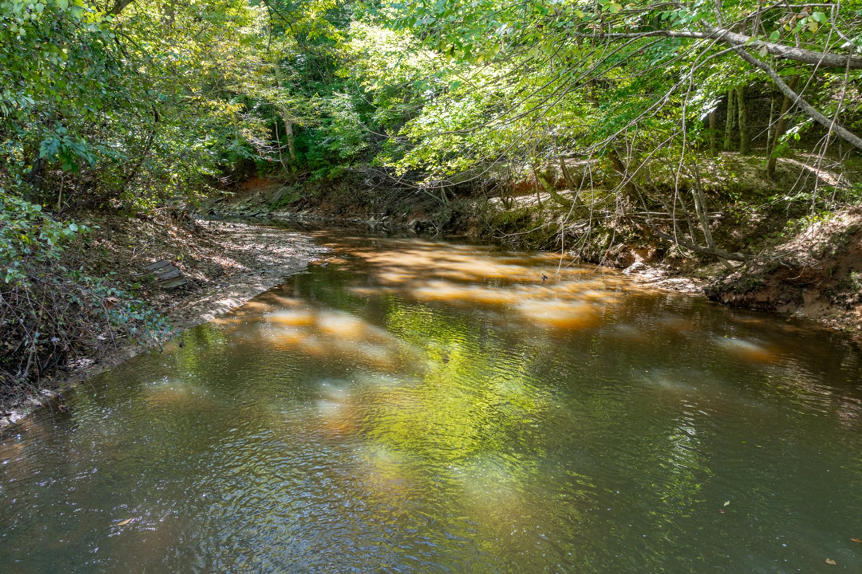 Image for 102 +/- Acre Timber Tract w/Large Amount of Frontage on 2 Roads--Lunenburg County, VA