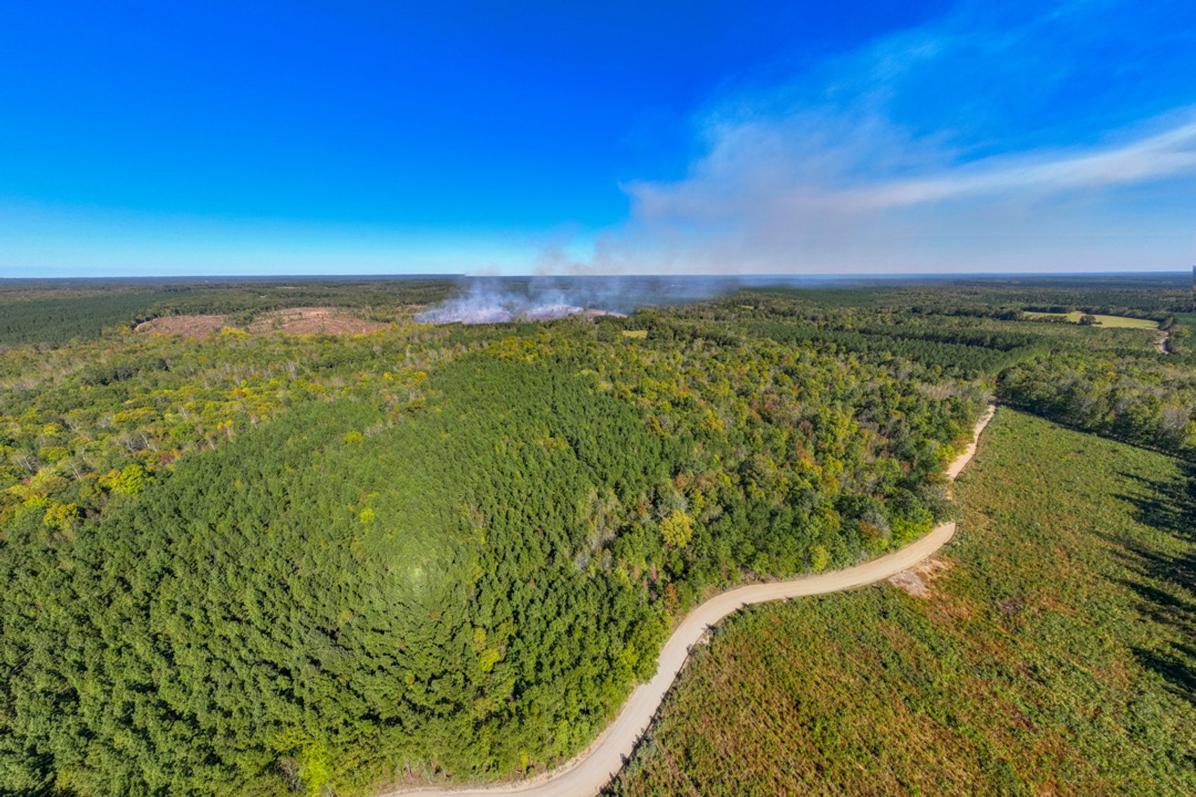 Image for 102 +/- Acre Timber Tract w/Large Amount of Frontage on 2 Roads--Lunenburg County, VA