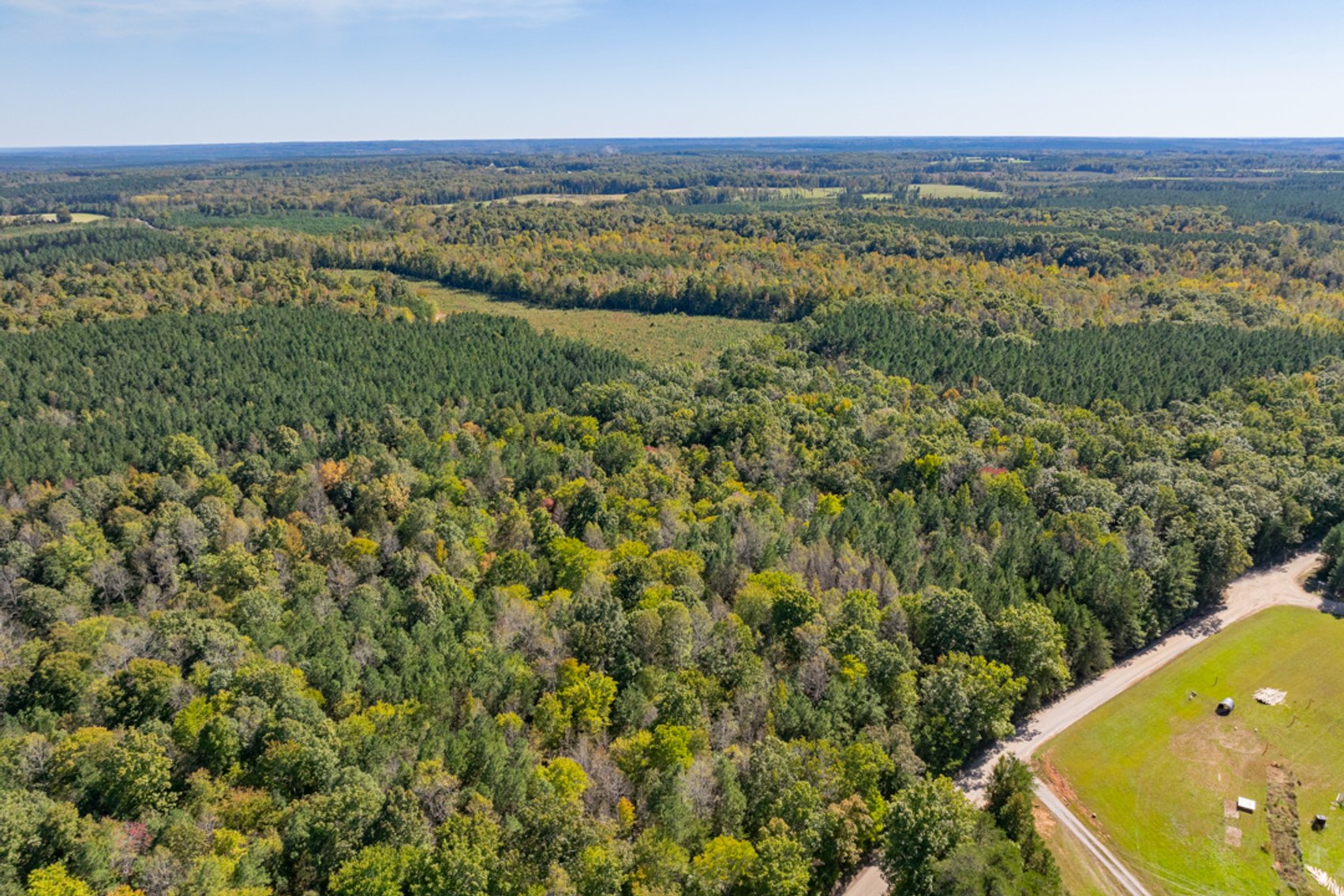 Image for 102 +/- Acre Timber Tract w/Large Amount of Frontage on 2 Roads--Lunenburg County, VA