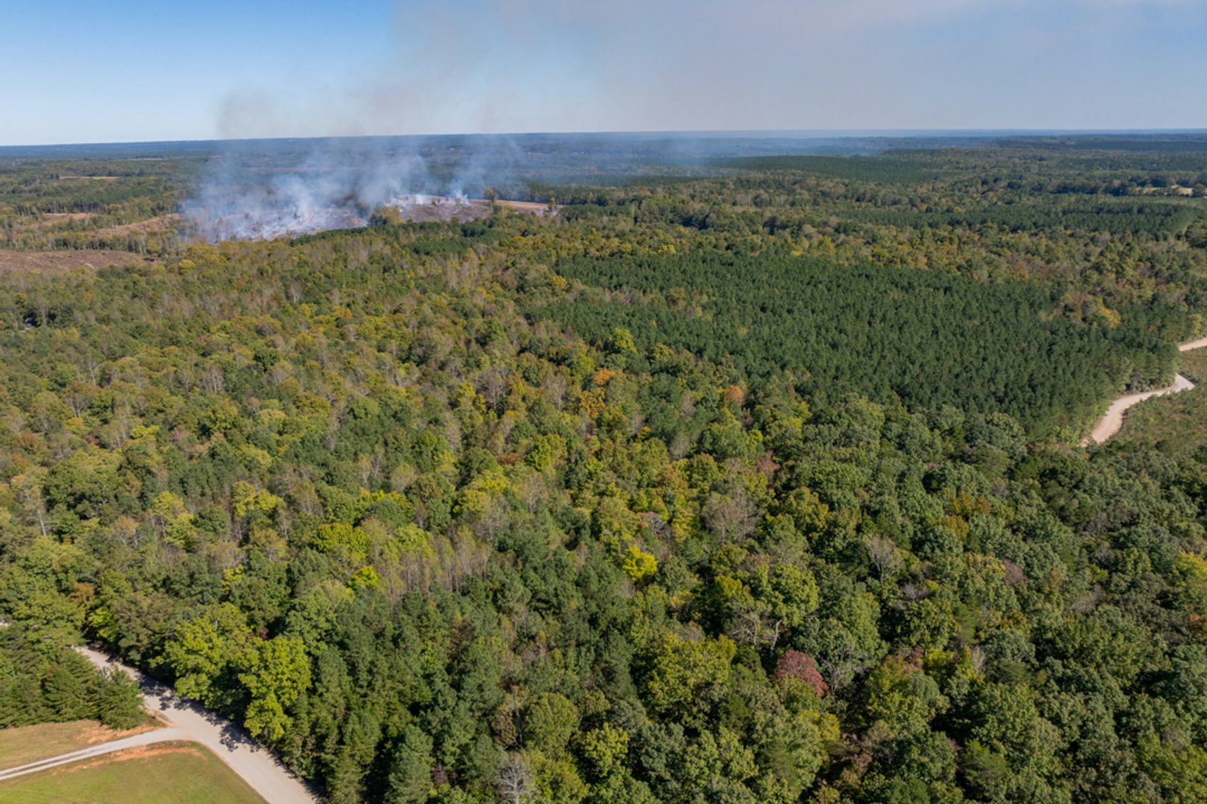 Image for 102 +/- Acre Timber Tract w/Large Amount of Frontage on 2 Roads--Lunenburg County, VA
