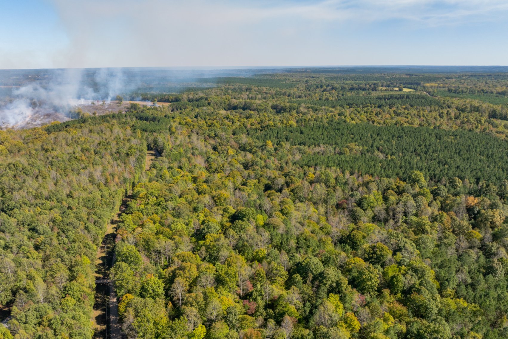 Image for 102 +/- Acre Timber Tract w/Large Amount of Frontage on 2 Roads--Lunenburg County, VA