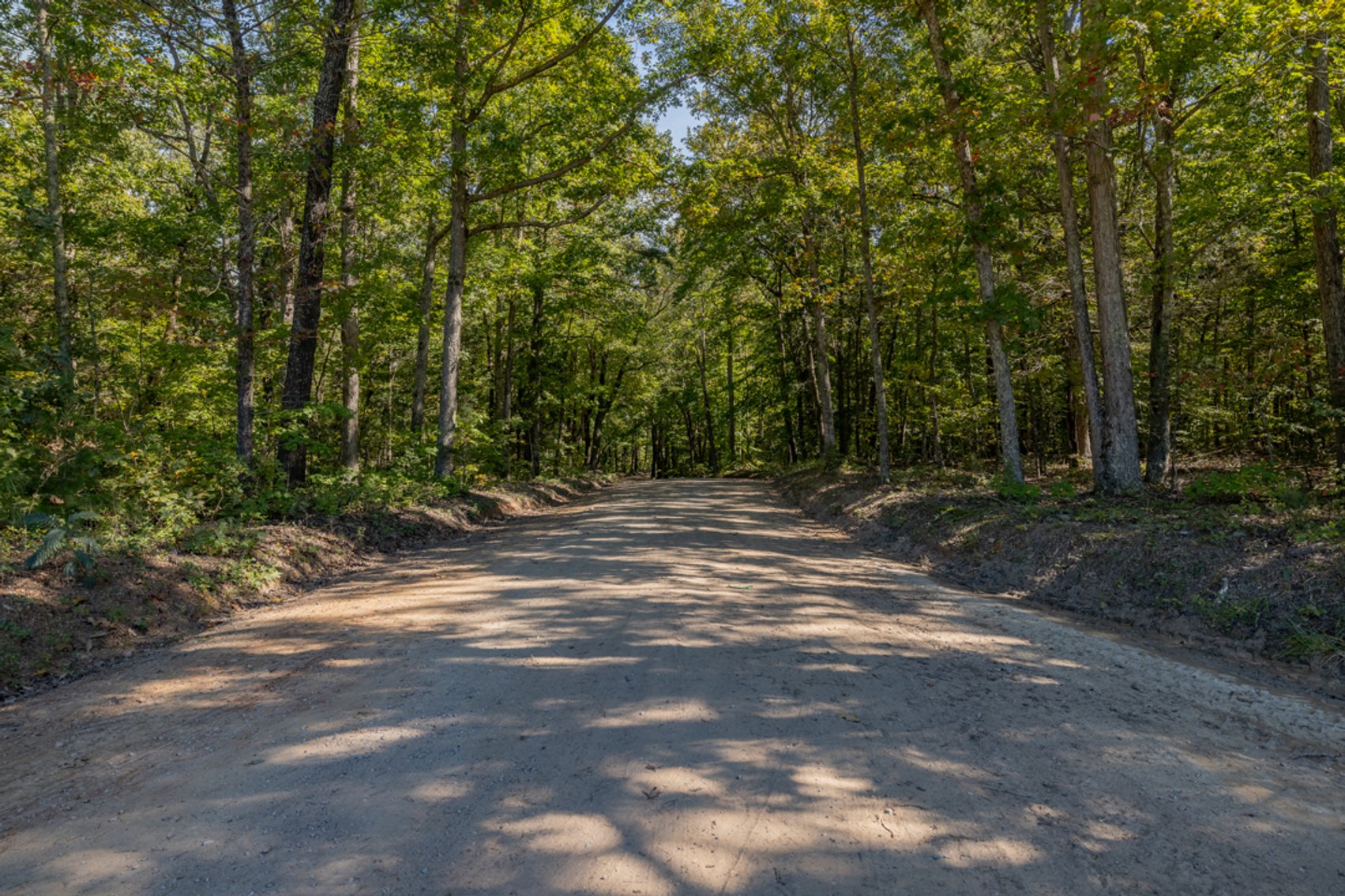 Image for 102 +/- Acre Timber Tract w/Large Amount of Frontage on 2 Roads--Lunenburg County, VA