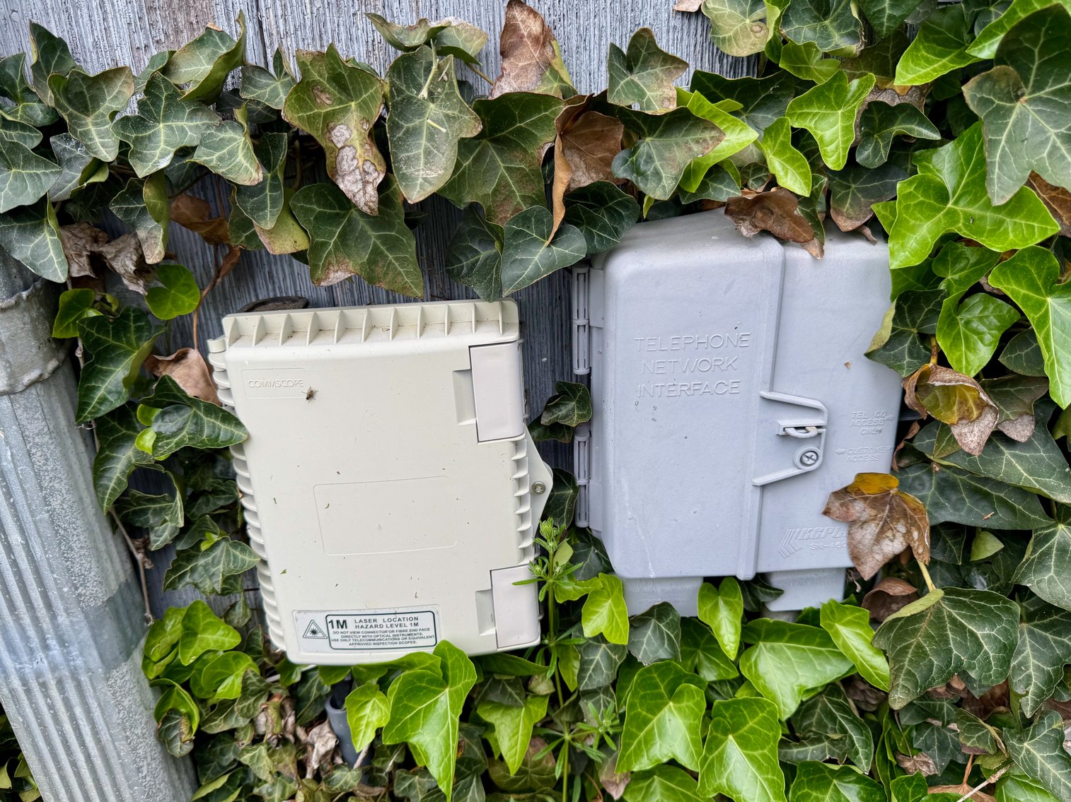 Image for 3 BR/2 BA Home w/Barns & Shop on 5.5 +/- Acres in Orange County, VA--SELLING to the HIGHEST BIDDER!!