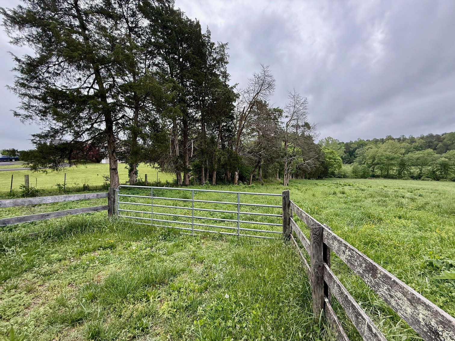 Image for 6.32 +/- Acre Land Parcel w/Road Frontage & Partial Fencing in Orange County, VA--SELLING to the HIGHEST BIDDER!!