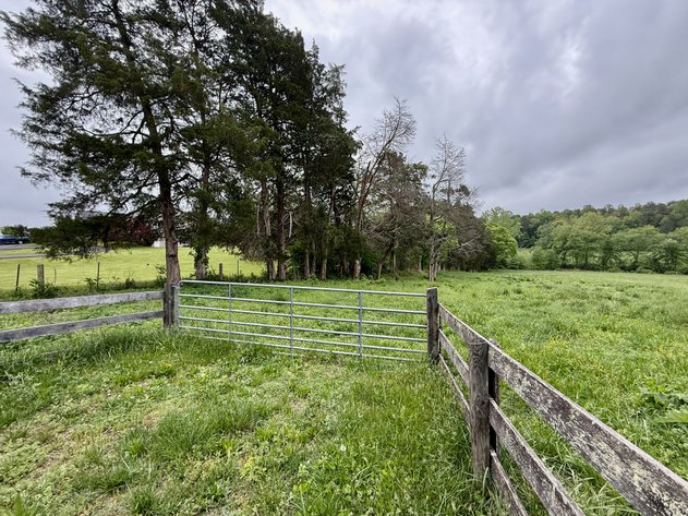 Image for 6.32 +/- Acre Land Parcel w/Road Frontage & Partial Fencing in Orange County, VA--SELLING to the HIGHEST BIDDER!!