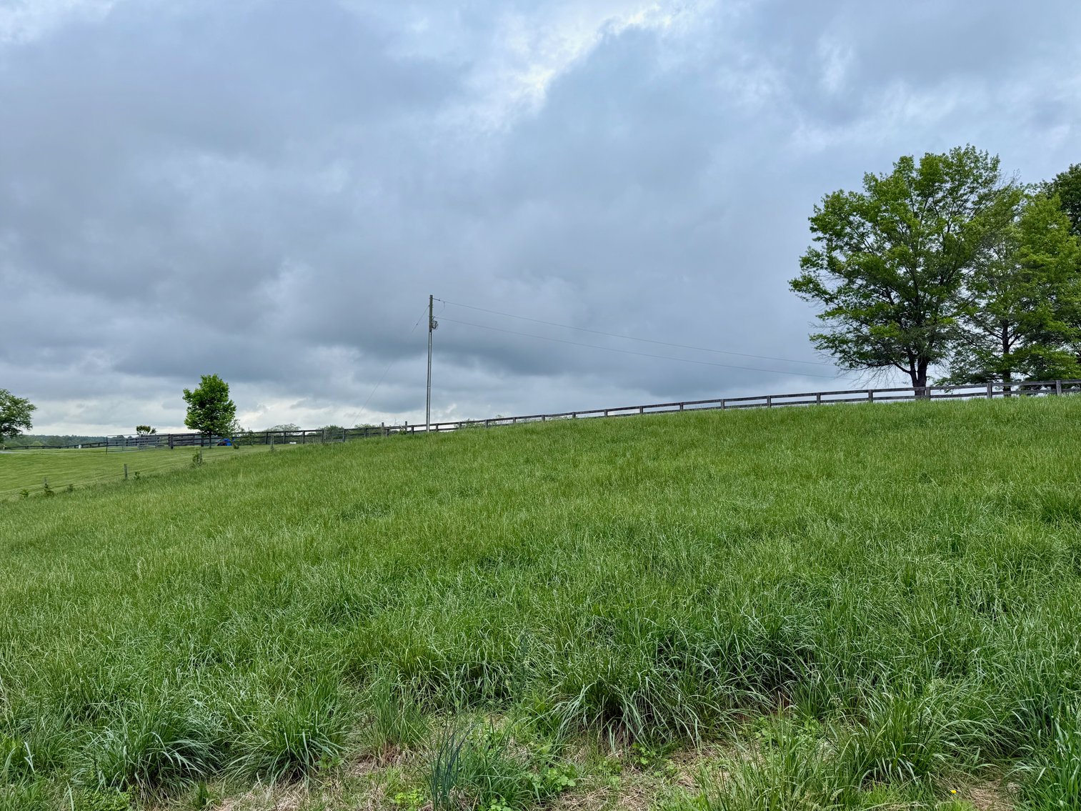 Image for 6.32 +/- Acre Land Parcel w/Road Frontage & Partial Fencing in Orange County, VA--SELLING to the HIGHEST BIDDER!!