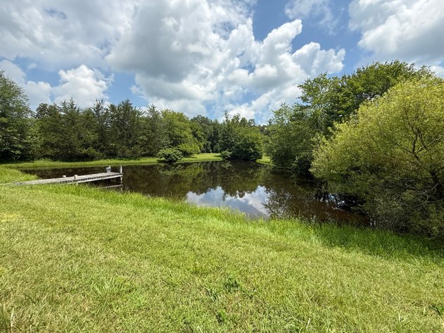 Image for 3 BR/3.5 BA Home w/Barn, Shop Building & Large Pond on 17.88 +/- Acres in Madison County, VA--SELLING to the HIGHEST BIDDER!!