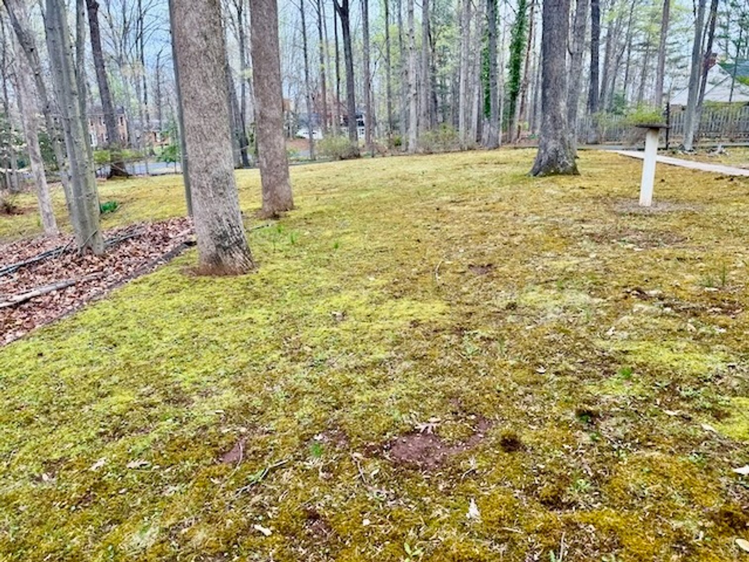 Image for 4 BR/3 BA Home on 2.4 +/- Wooded Acres in the Woodbine Forest Neighborhood of Prince William County, VA