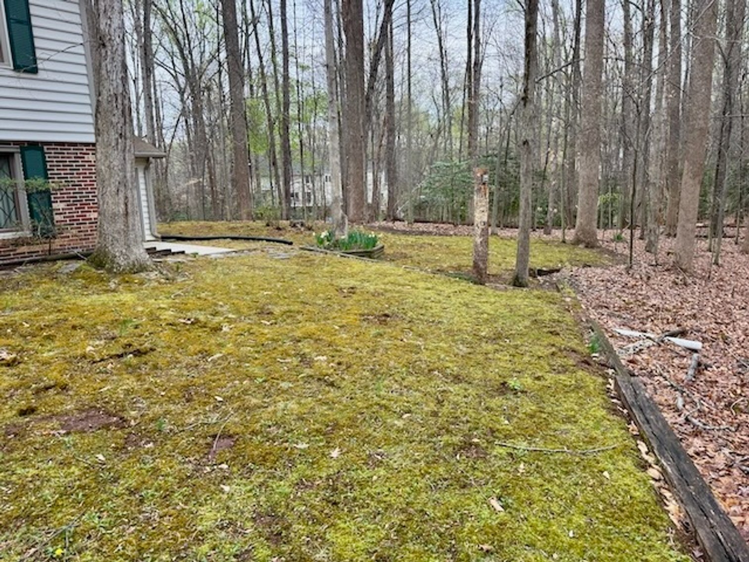 Image for 4 BR/3 BA Home on 2.4 +/- Wooded Acres in the Woodbine Forest Neighborhood of Prince William County, VA