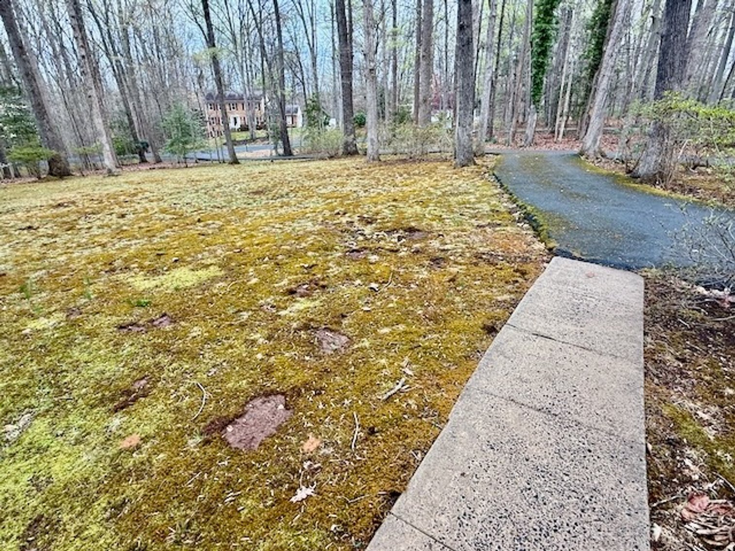Image for 4 BR/3 BA Home on 2.4 +/- Wooded Acres in the Woodbine Forest Neighborhood of Prince William County, VA