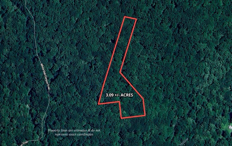 3.1 +/- Acre Wooded Building Lot w/Approved Drain Field Site Adjacent to Shenandoah National Park in Madison County, VA--ONLINE ONLY BIDDING!!