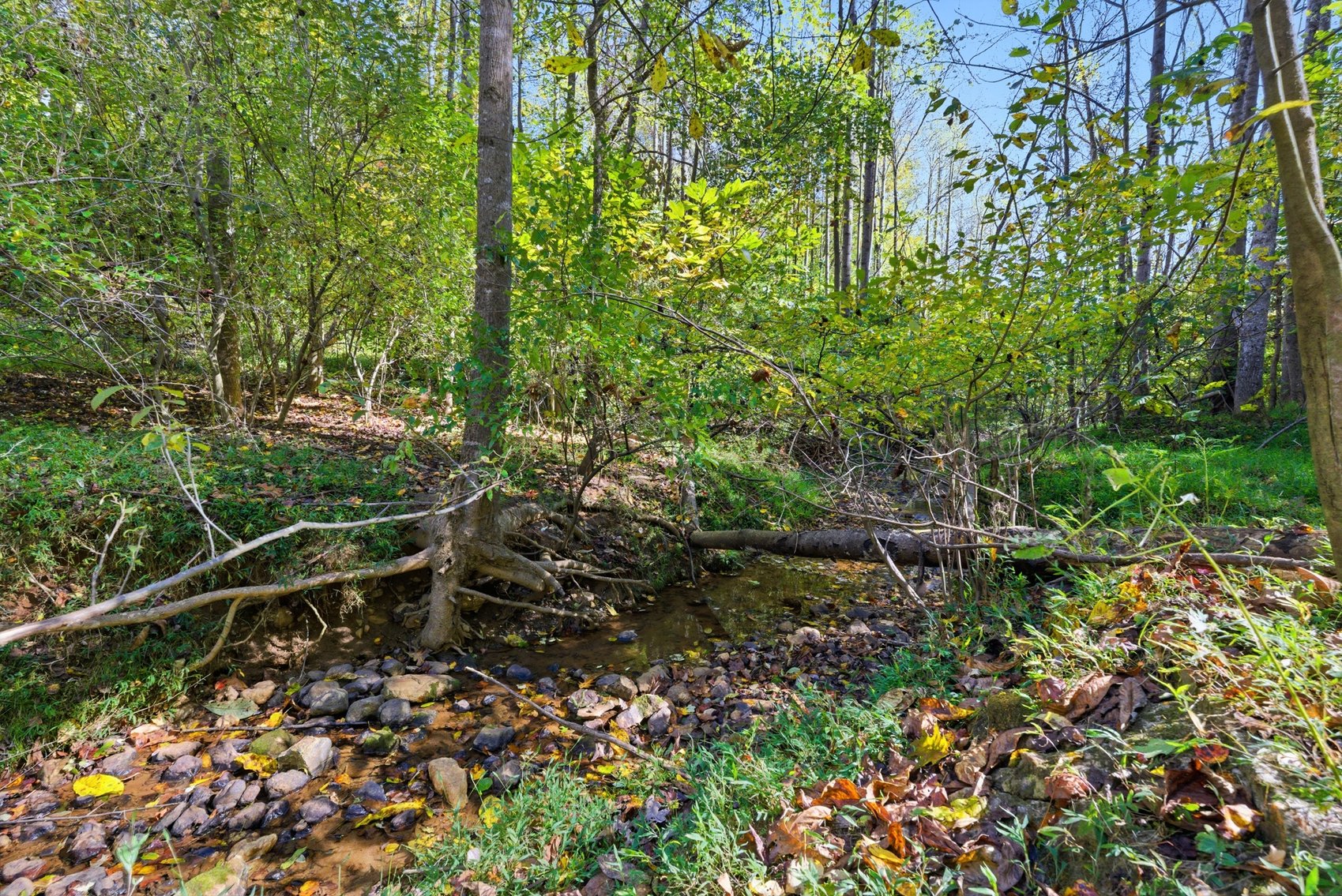 Image for 3 BR/3 BA Brick Home w/Walk-Out Basement, Attached Garage & Detached Shop on 10 +/- Acres in Bedford, VA