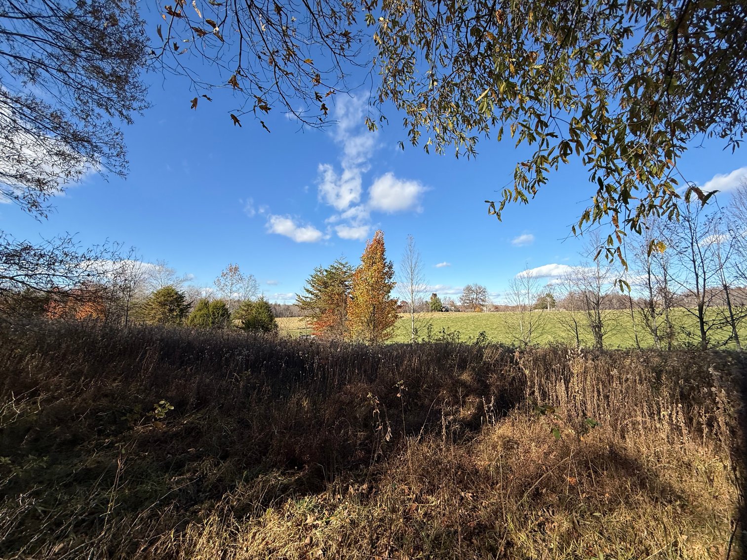 Image for 5.2 +/- Acre Mostly Wooded Building/Estate Lot in Orange County, VA--SELLING to the HIGHEST BIDDER via ONLINE ONLY BIDDING!!