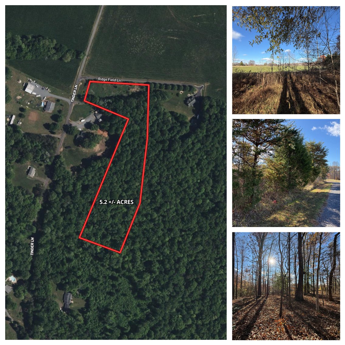 Image for 5.2 +/- Acre Mostly Wooded Building/Estate Lot in Orange County, VA--SELLING to the HIGHEST BIDDER via ONLINE ONLY BIDDING!!