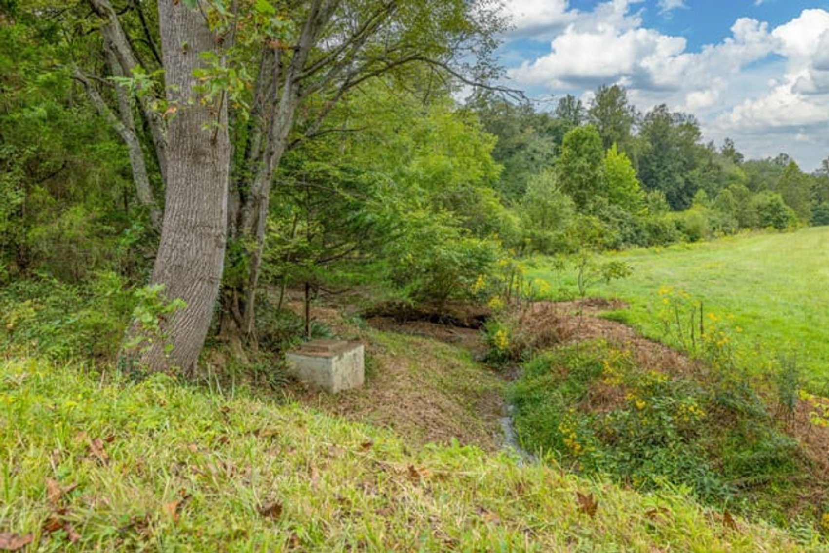 Image for 2 +/- Acre Madison County, VA Building Lot w/Approved Septic & Well Permits--ONLINE ONLY BIDDING!!