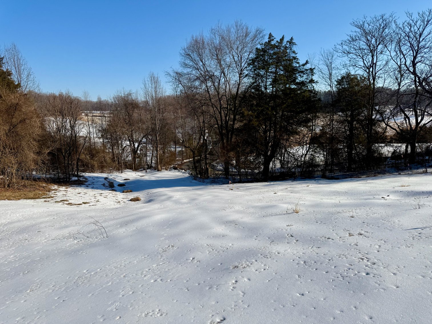 Image for 2 +/- Acre Madison County, VA Building Lot w/Approved Septic & Well Permits--ONLINE ONLY BIDDING!!