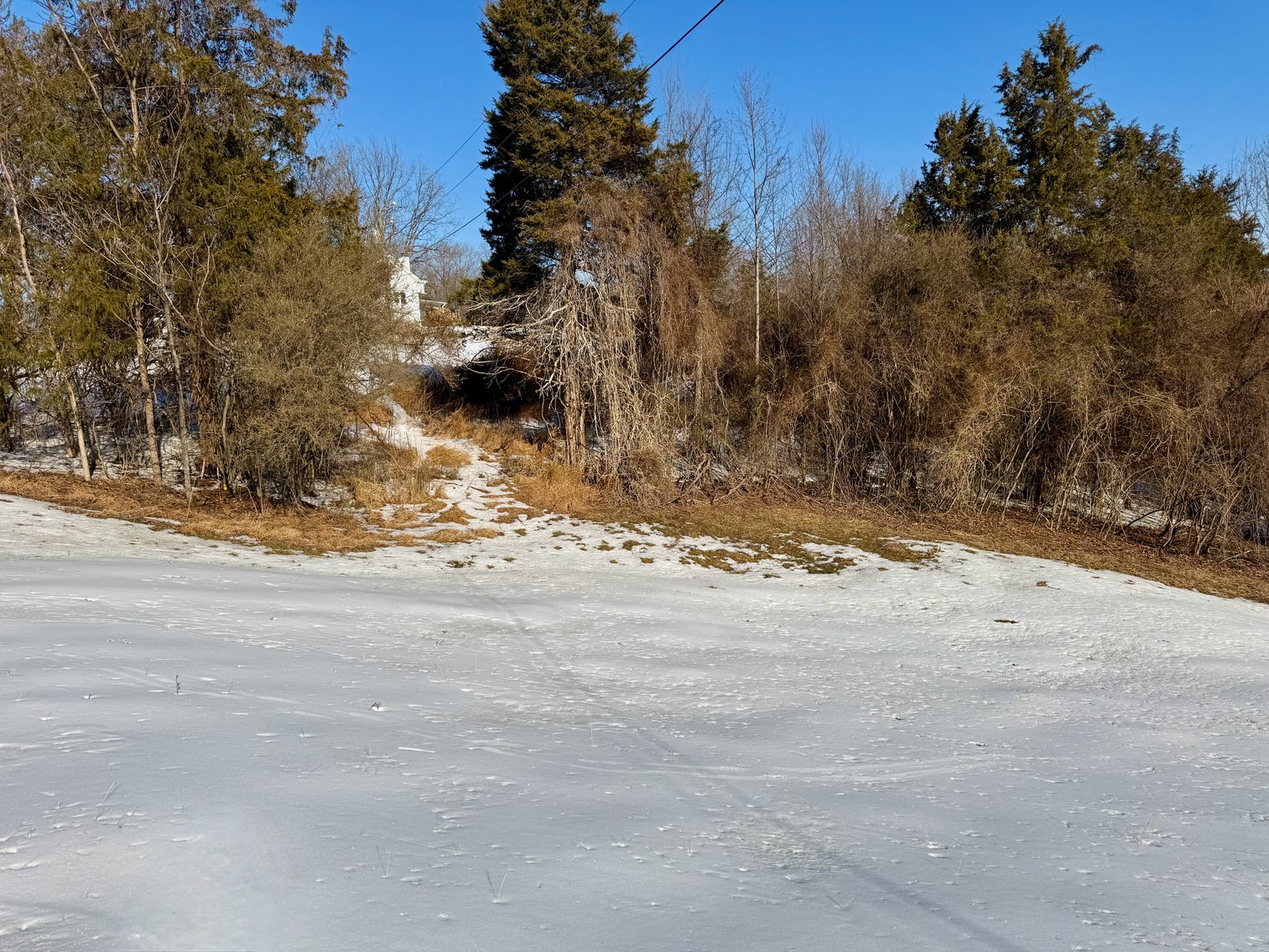 Image for 2 +/- Acre Madison County, VA Building Lot w/Approved Septic & Well Permits--ONLINE ONLY BIDDING!!