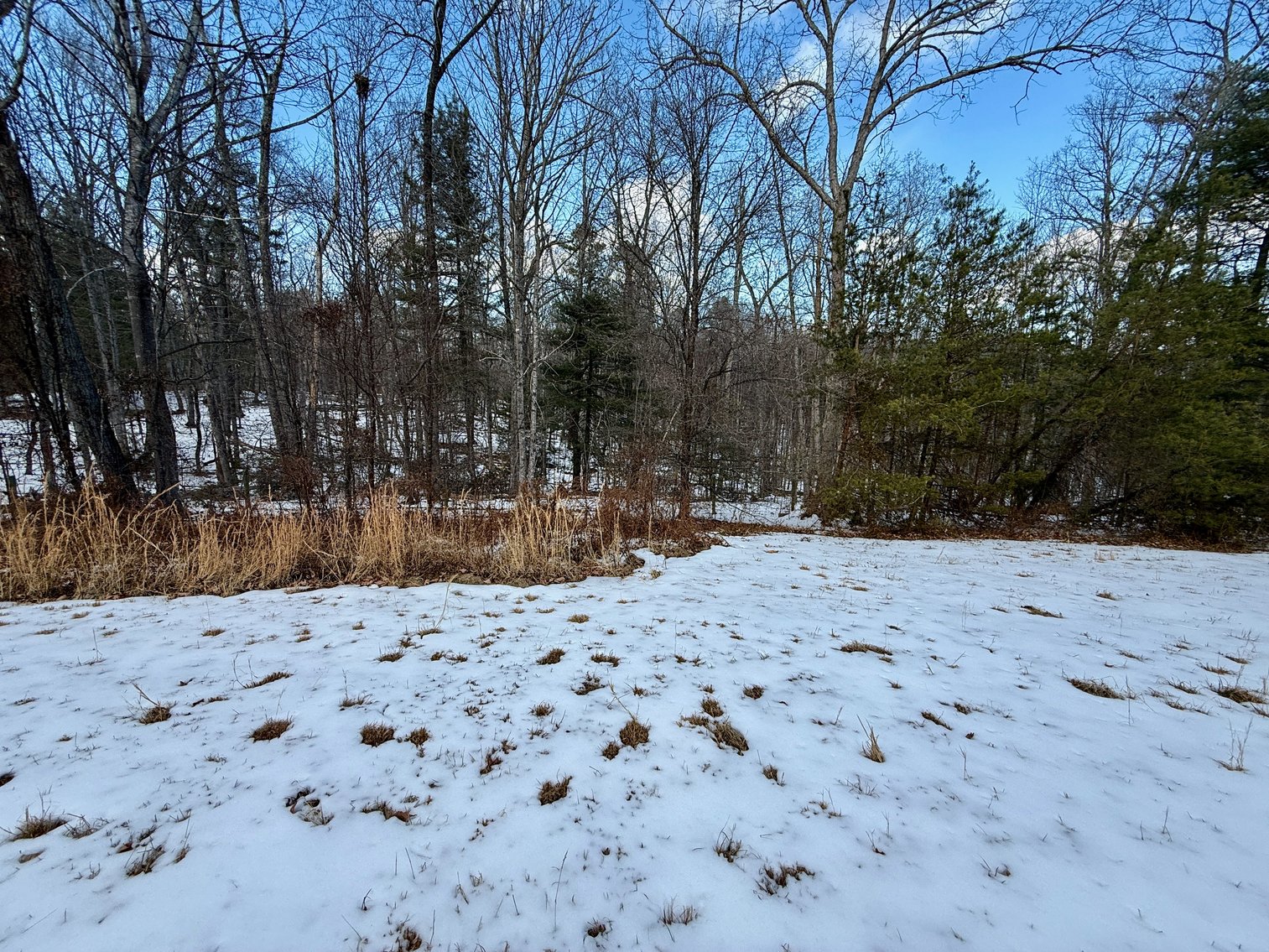 Image for 4 BR/2 BA Home w/Basement on 3.1 +/- Acres in Madison County, VA--ONLINE ONLY BIDDING!!