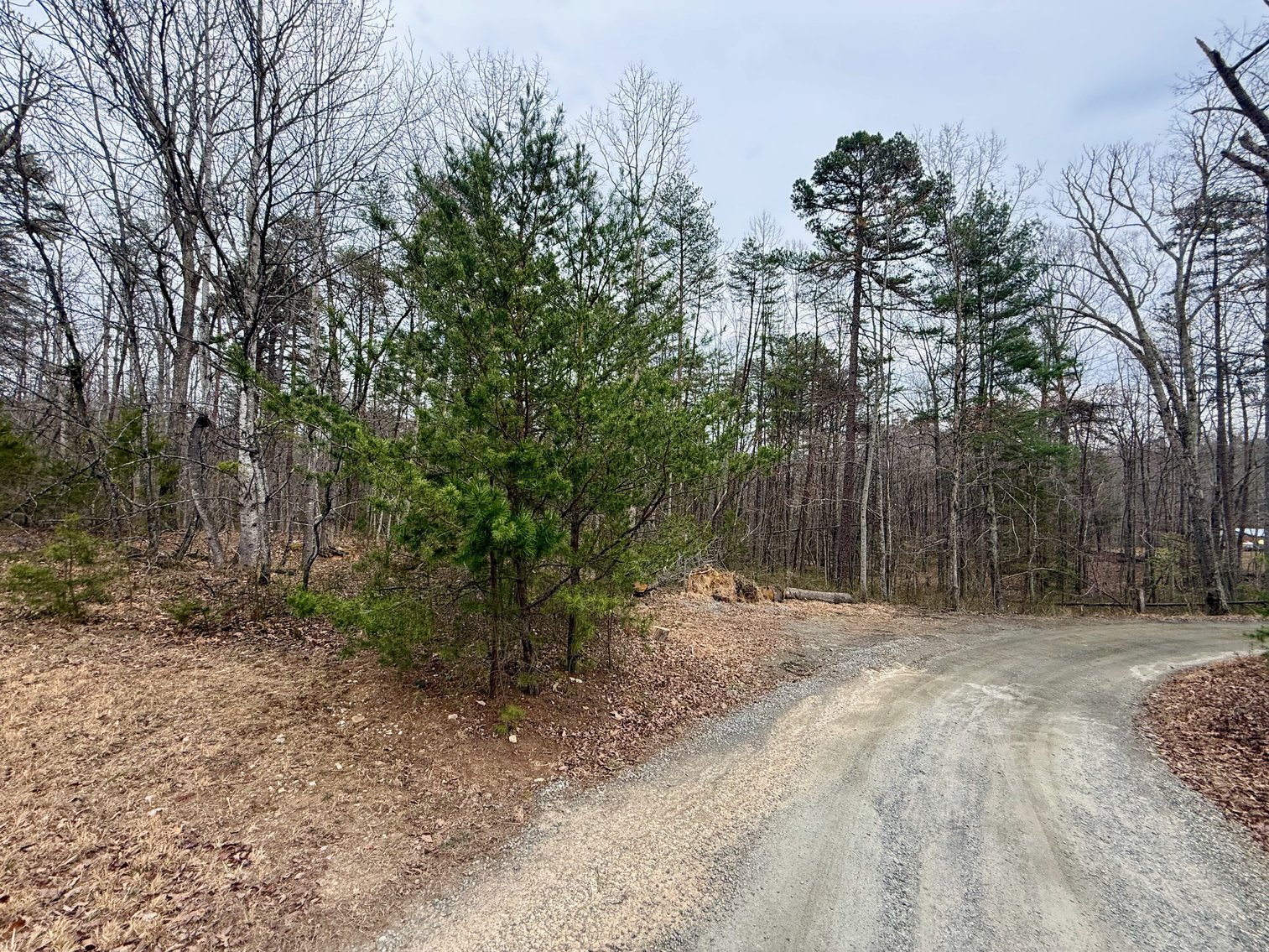 Image for 4 BR/2 BA Home w/Basement on 3.1 +/- Acres in Madison County, VA--ONLINE ONLY BIDDING!!