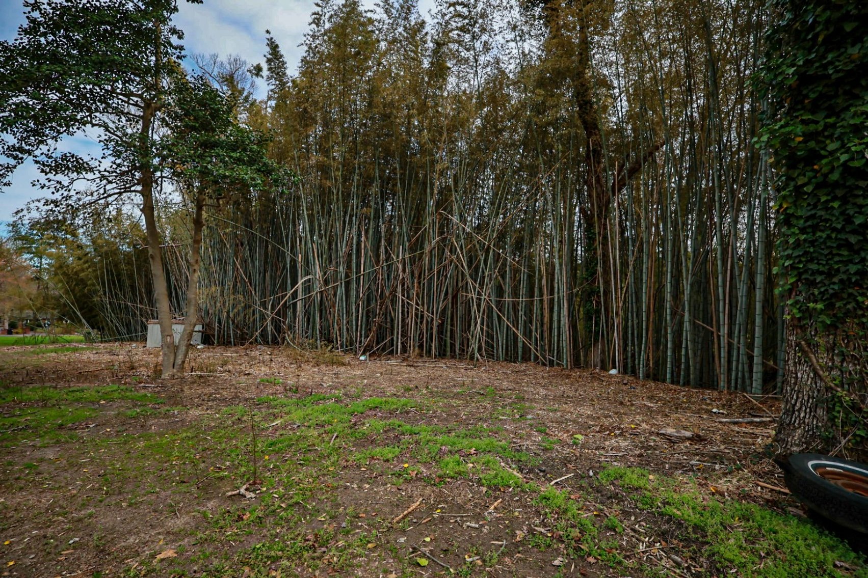 Image for 3 BR/1 BA Home on 1+ Acres in Downtown Victoria, VA--SELLING to the HIGHEST BIDDER via ONLINE ONLY BIDDING!!