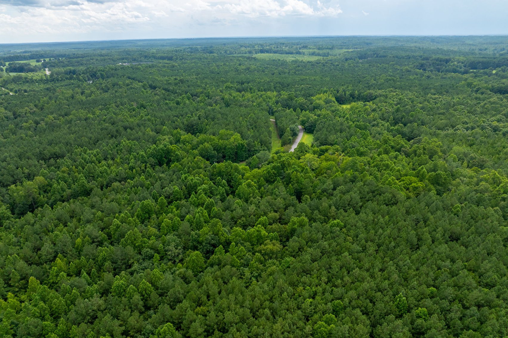 Image for 7 Estate Building Lots w/Perk Sites & VDOT Approved Entrances--Lunenburg County, VA