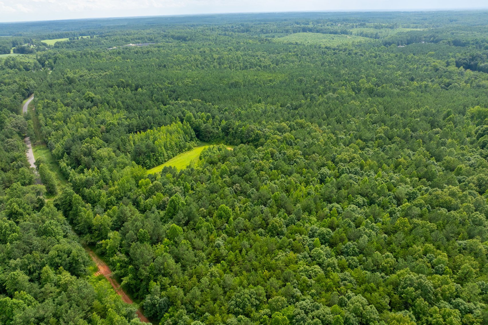 Image for 7 Estate Building Lots w/Perk Sites & VDOT Approved Entrances--Lunenburg County, VA