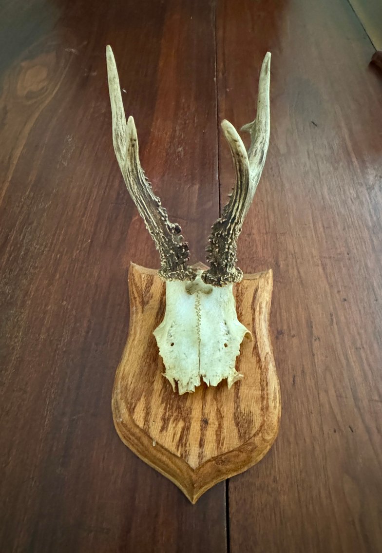 Image for Baltimore Thomas