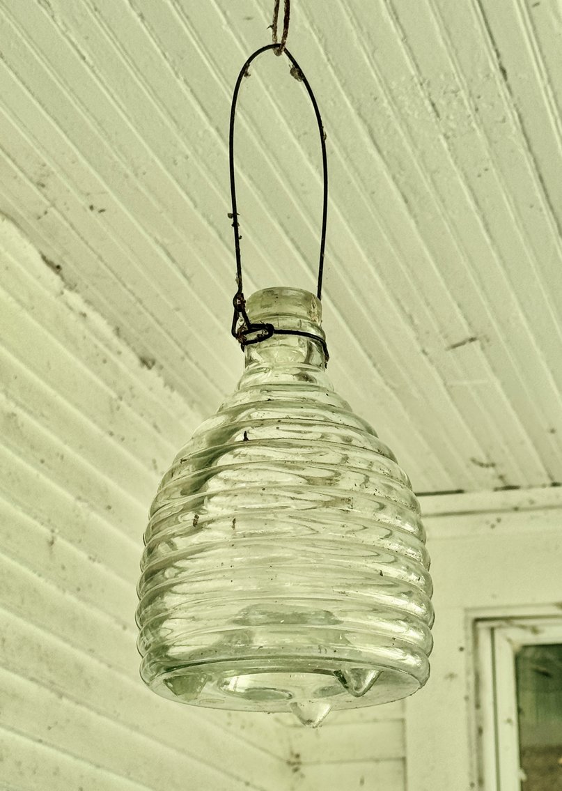 Image for Baltimore Thomas