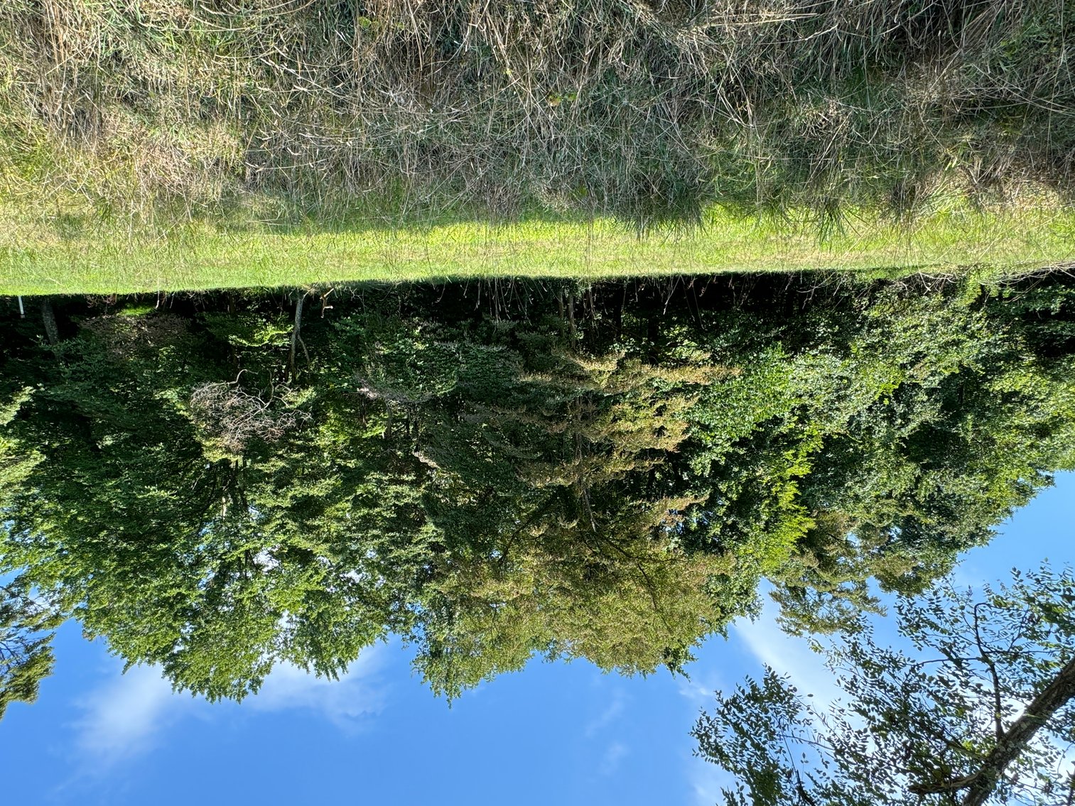 Image for 51475 Sarahsville Rd. 43779