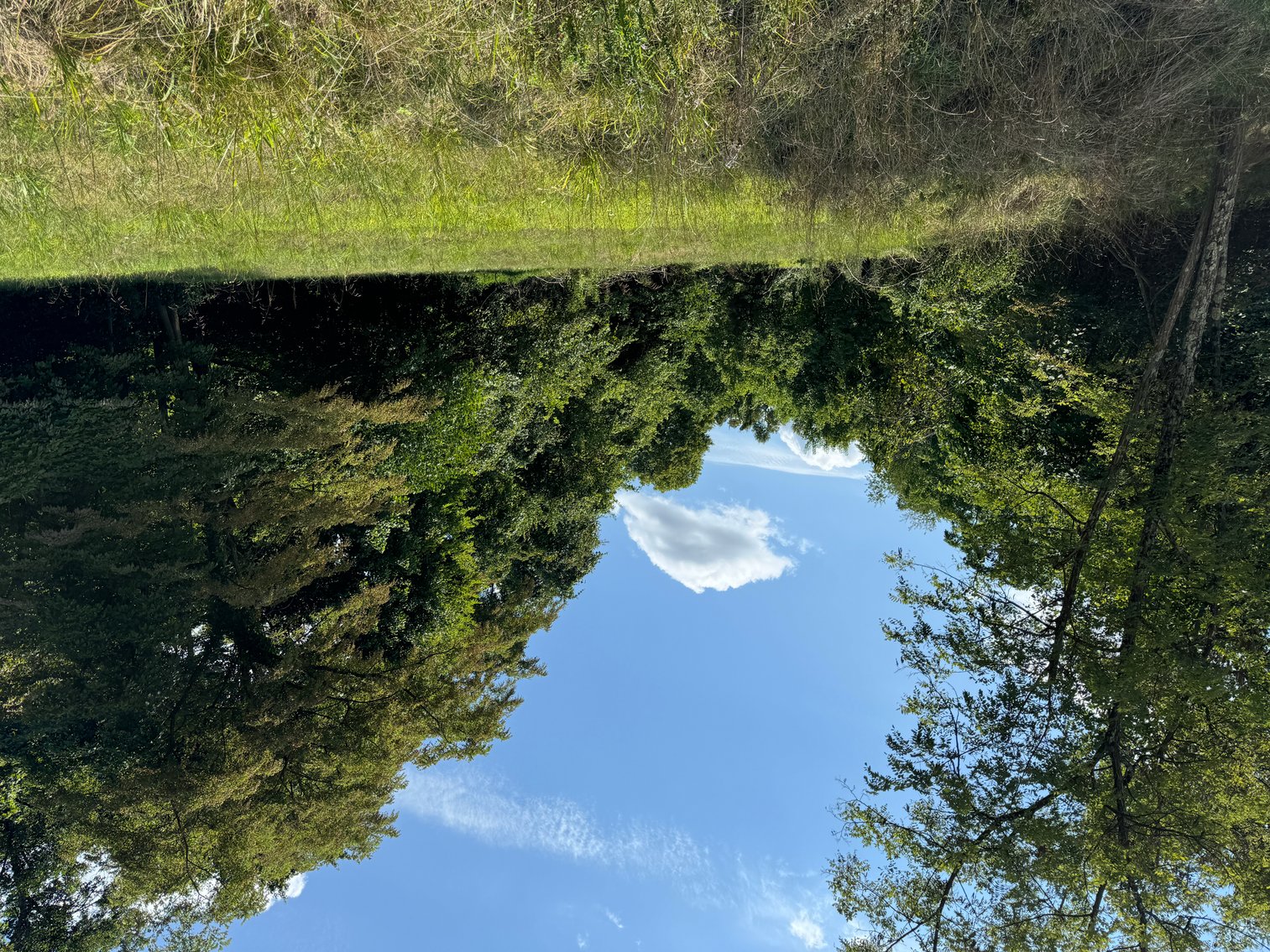 Image for 51475 Sarahsville Rd. 43779