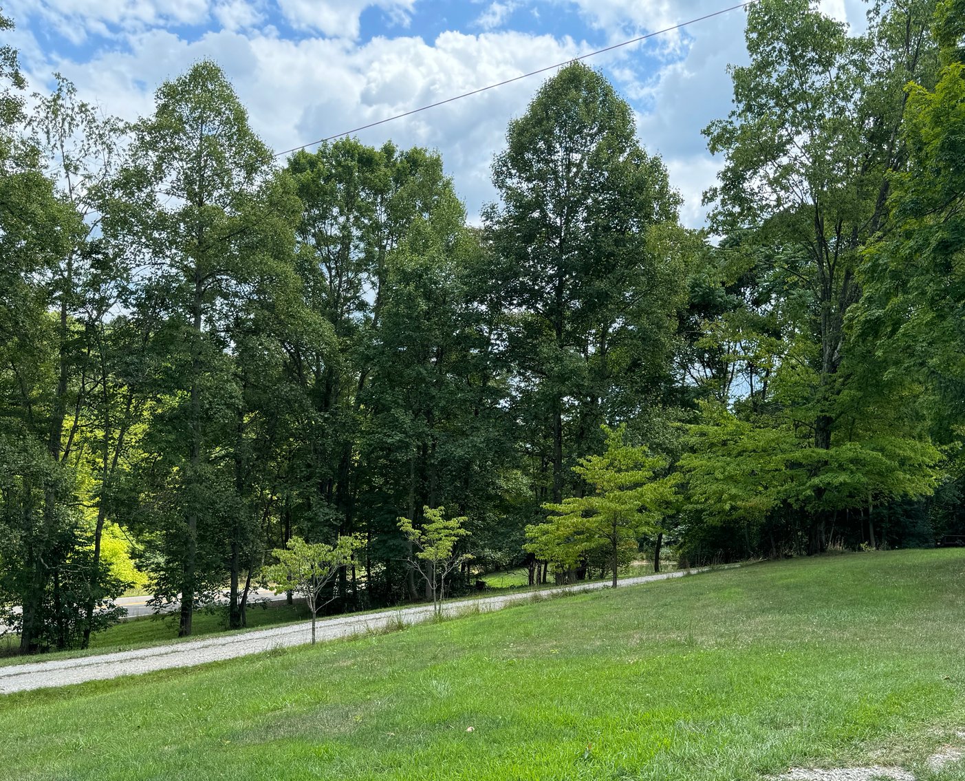 Image for 51475 Sarahsville Rd. 43779