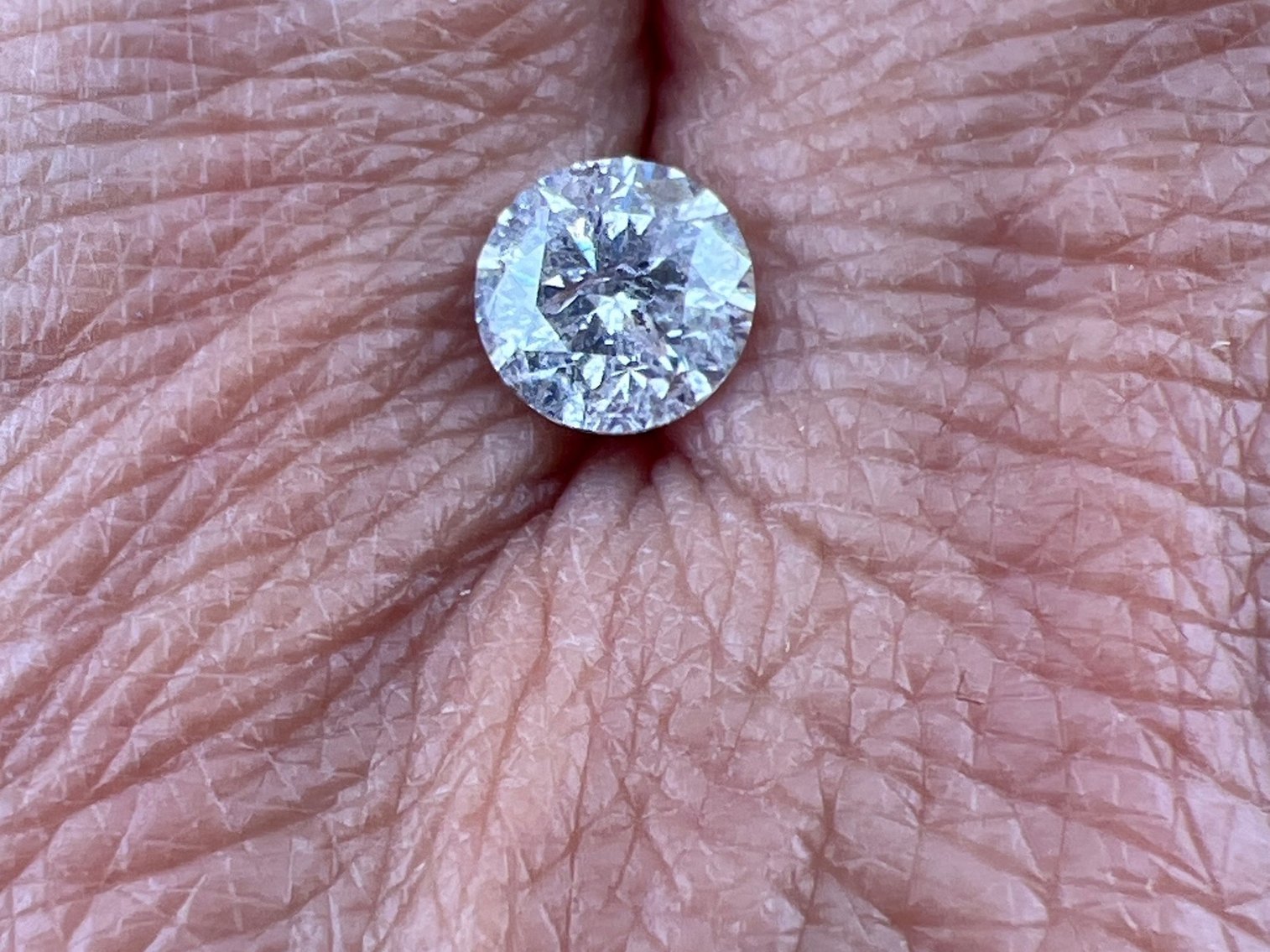 Image for JUNE BUG AUCTION