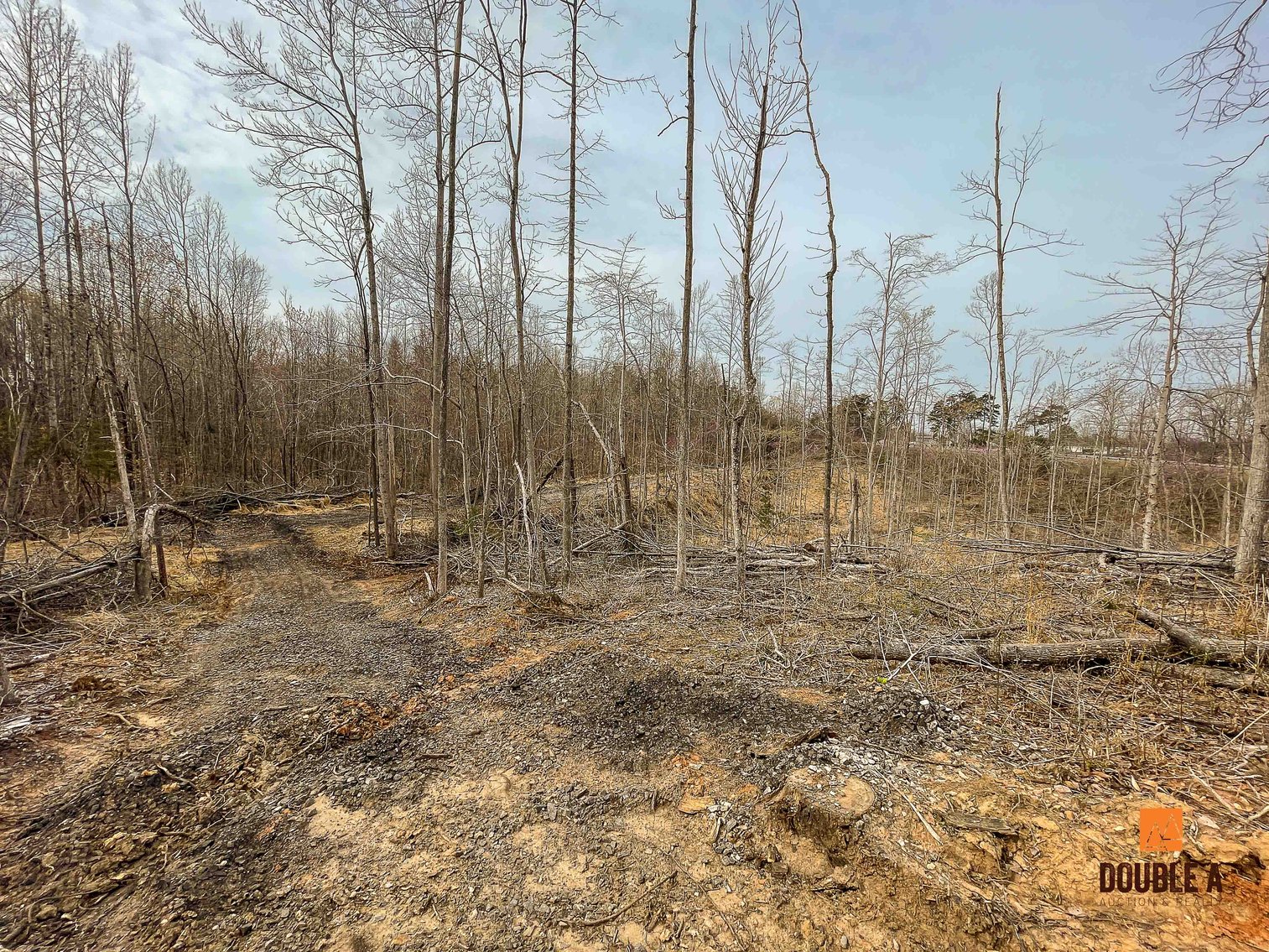 Image for April 2025 Real Estate Auction