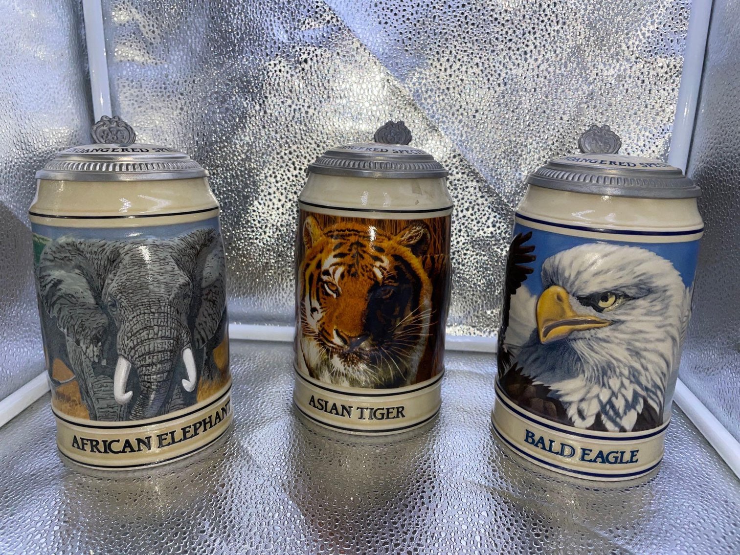 Image for February Interesting Items