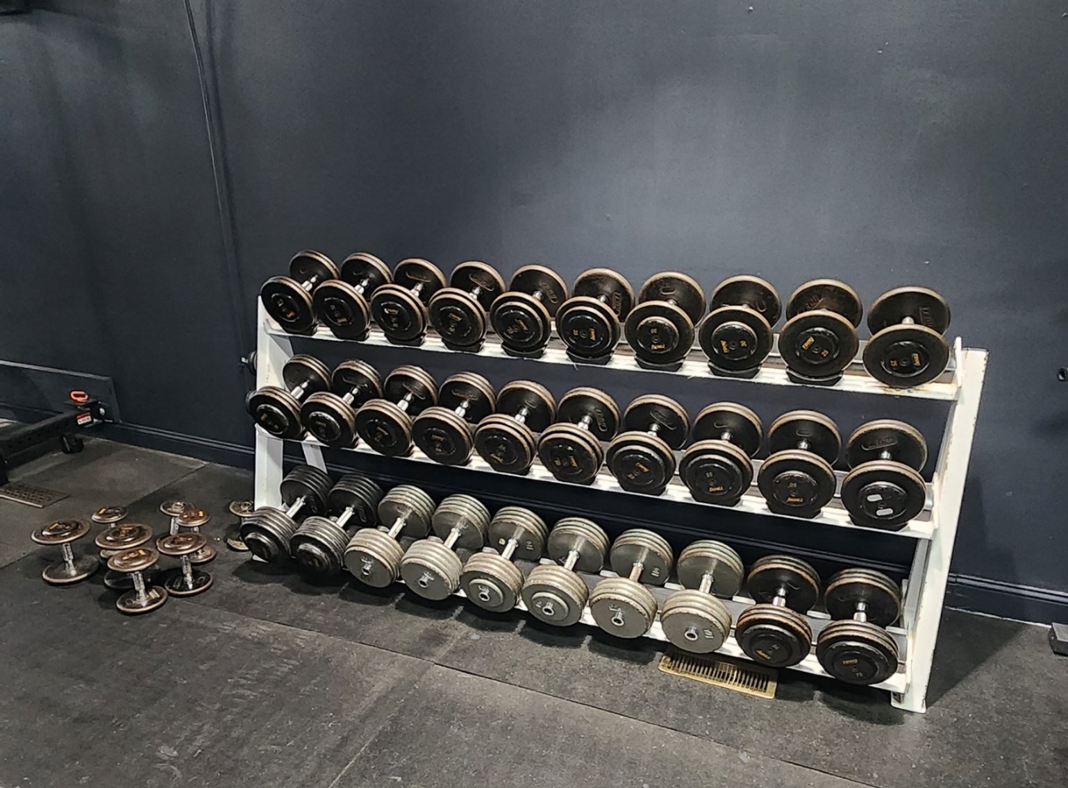 Image for MOV Fitness Upgrading Surplus Auction