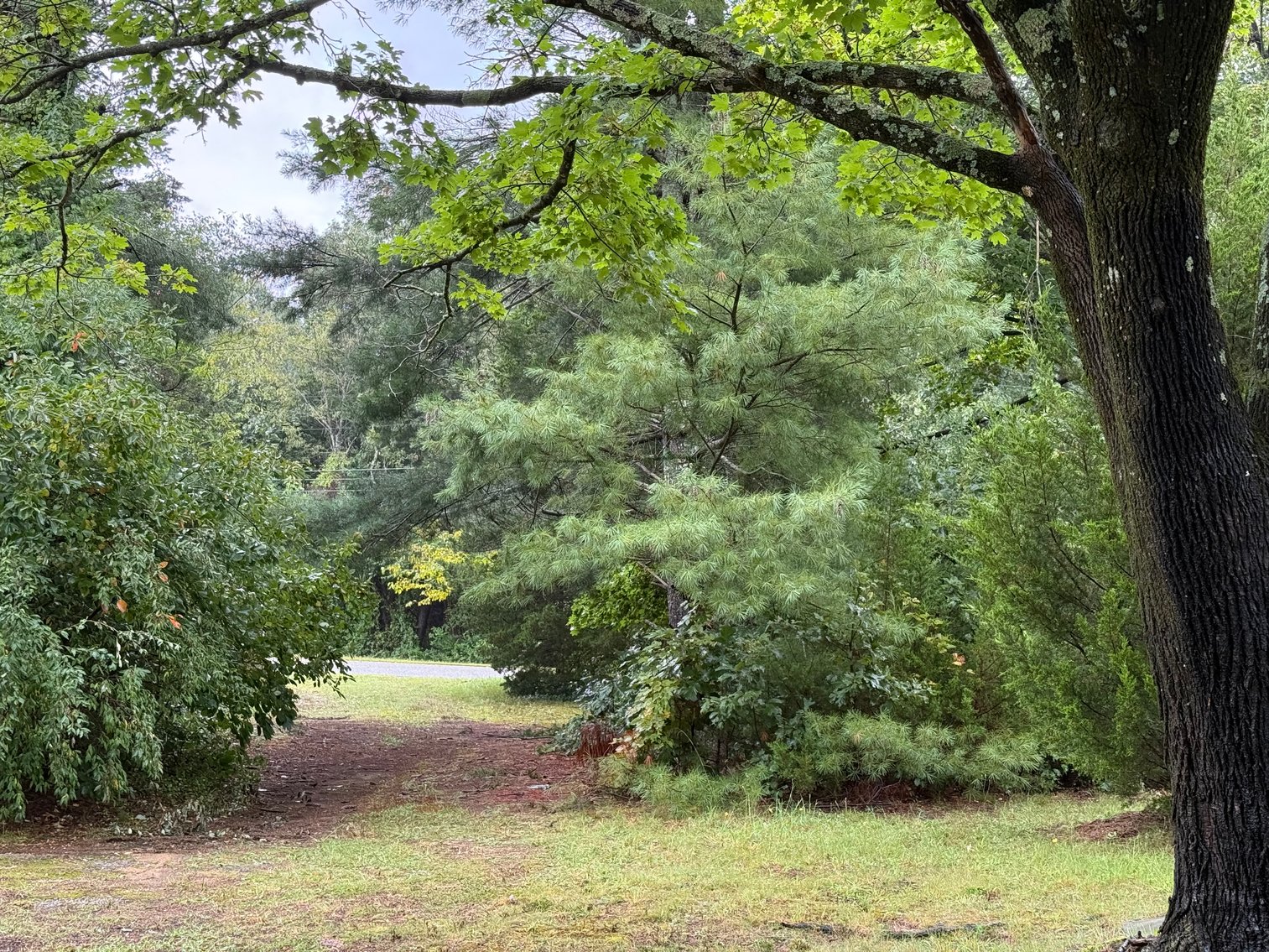 Image for Seller Ordered Online Auction - 1,334 +/- SF Ranch-Style Home on 3.75 +/- Acres in Franklin Township