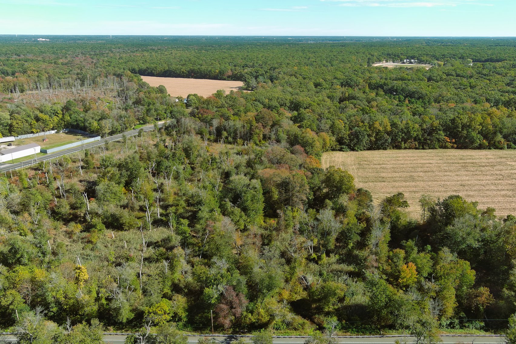 Image for 47.71 +/- Acres Available in Millville & Deerfield Township