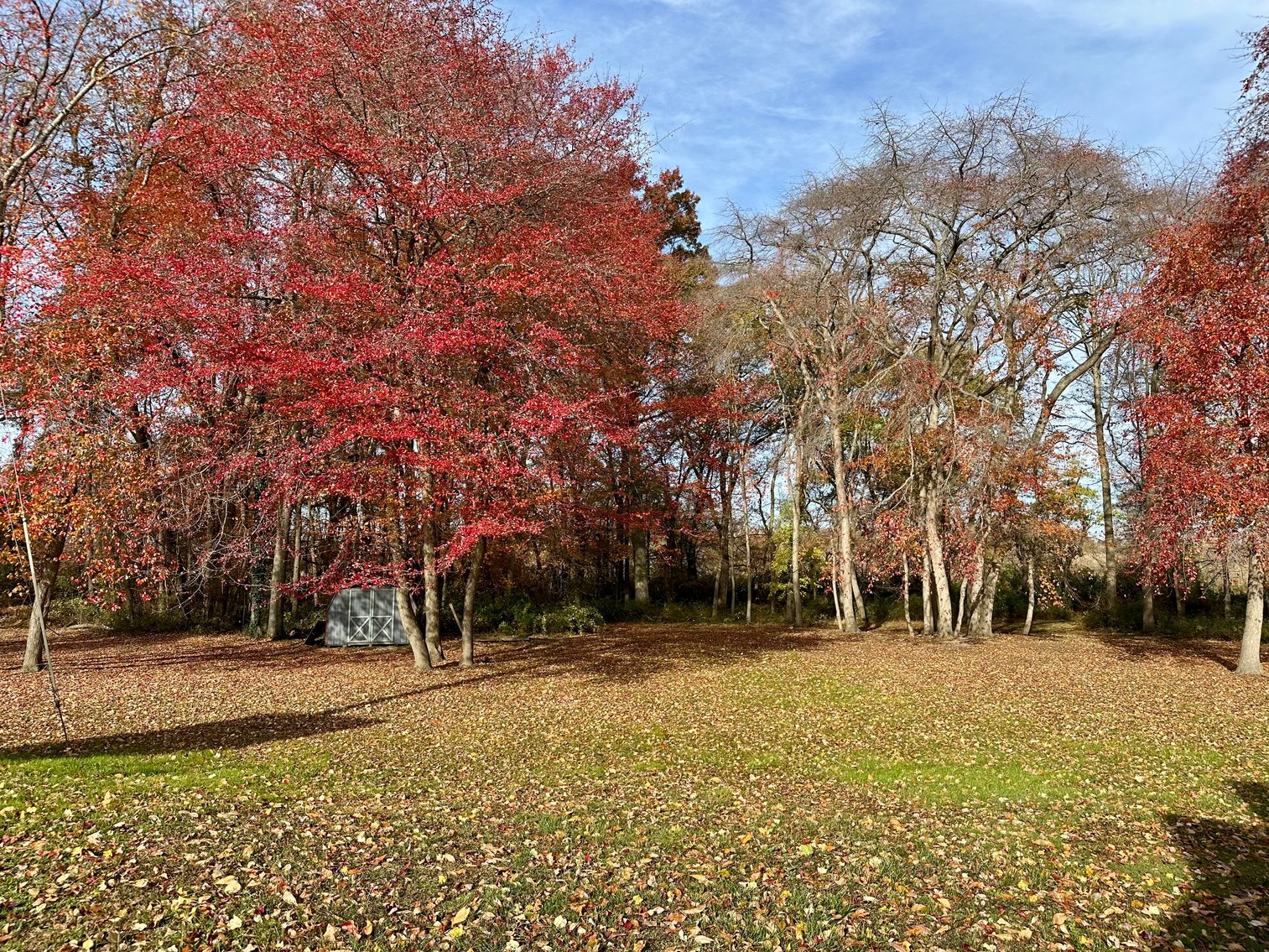 Image for Classic Custom Built 4 BR 3 1/2 Bath 3,023 +/- SF Home Available in Chestnut Terrace