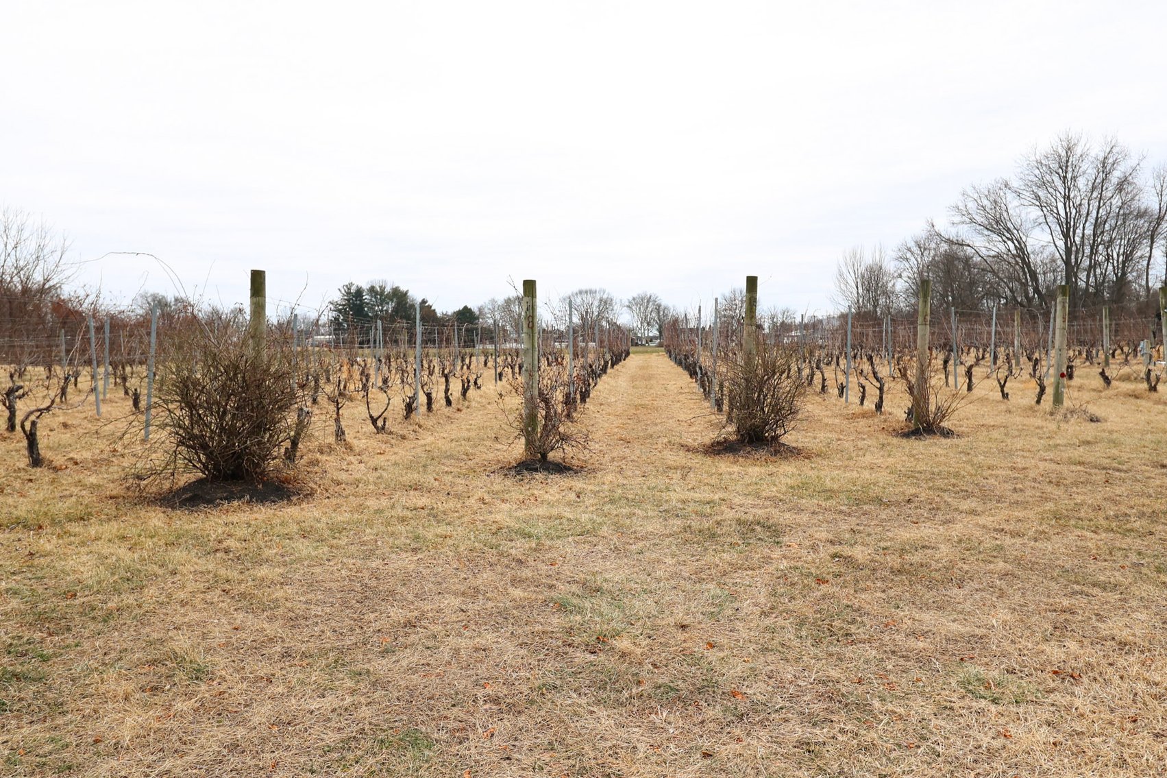 Image for Rare-Find Property Available in Oldmans Township