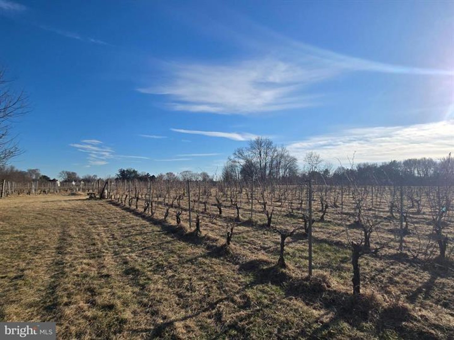 Image for Rare-Find Property Available in Oldmans Township