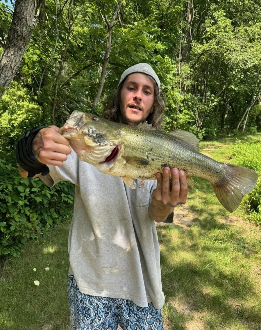 Image for Check Out This Picture-Perfect 44 +/- Acre Private Estate in Pilesgrove Township