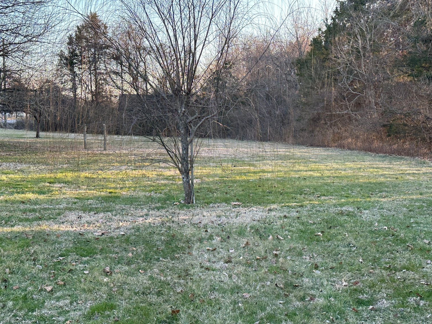 Image for 146 Copper Hollow Drive, Murfreesboro